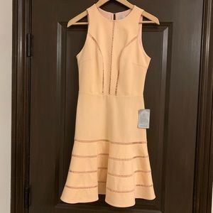 NWT - Super cute dress with lots of detail.